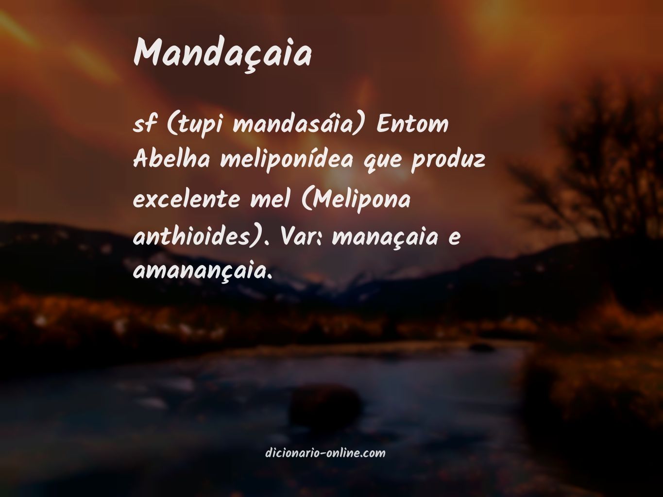 Significado de mandaçaia