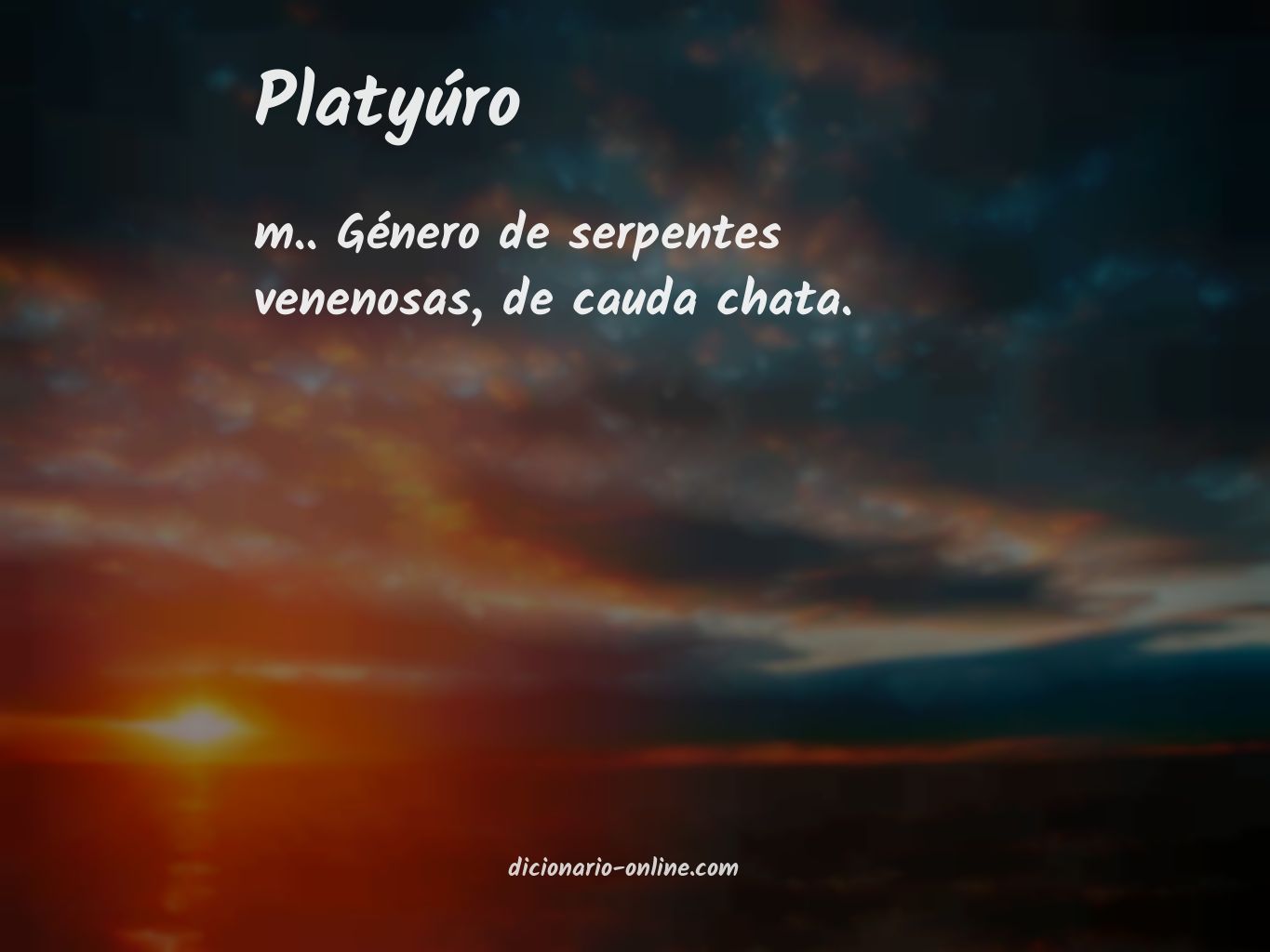 Significado de platyúro