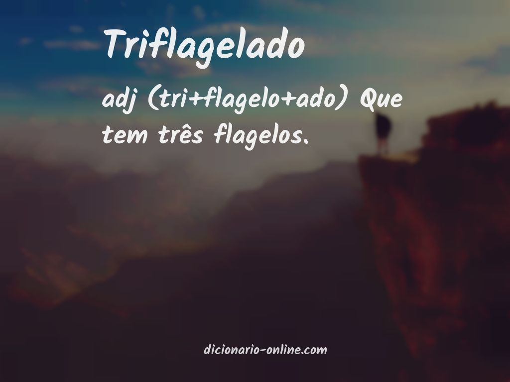 Significado de triflagelado