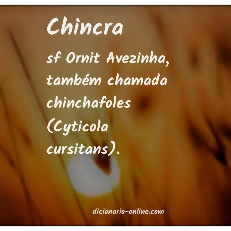 Significado de chincra