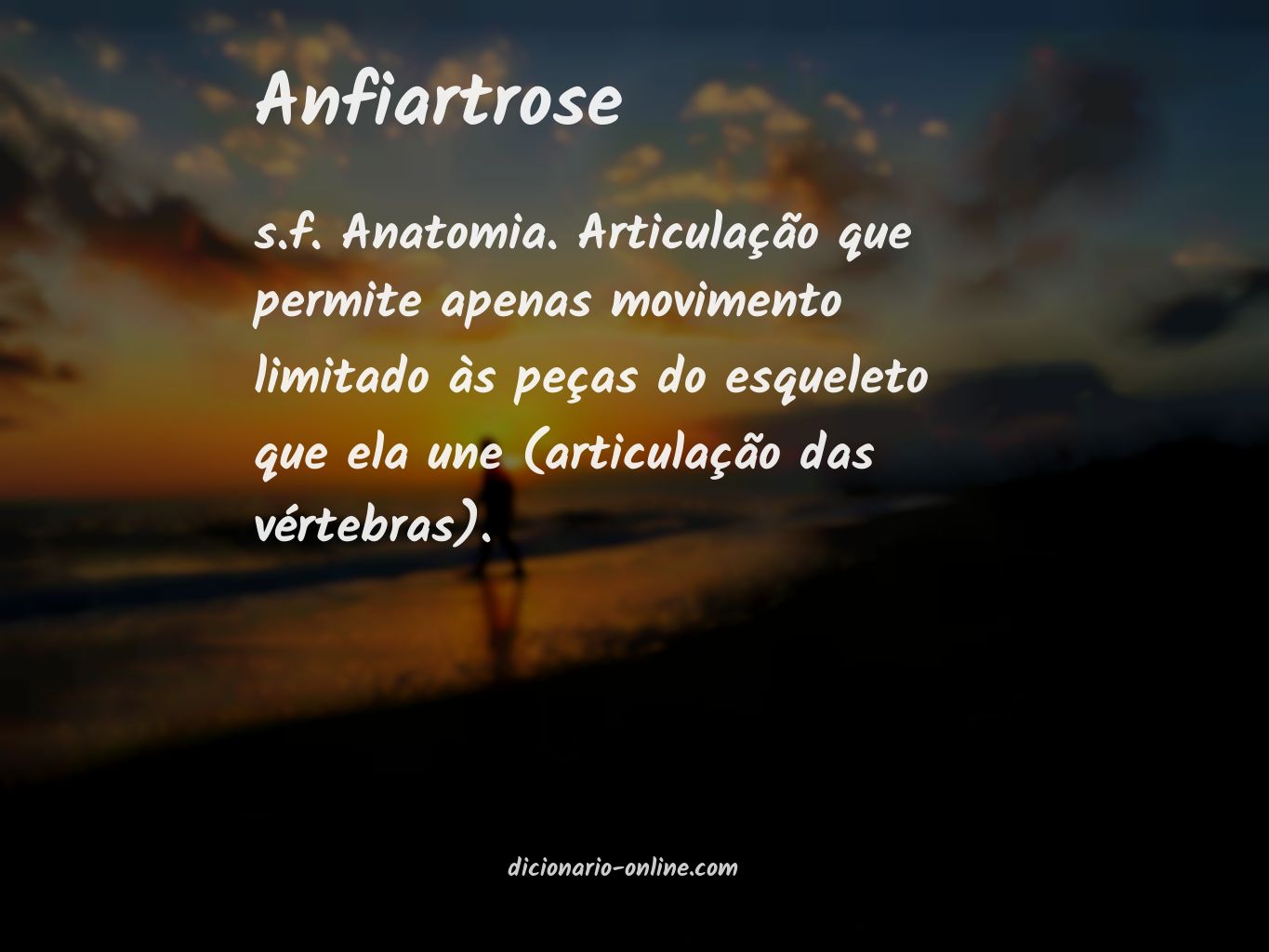 Significado de anfiartrose