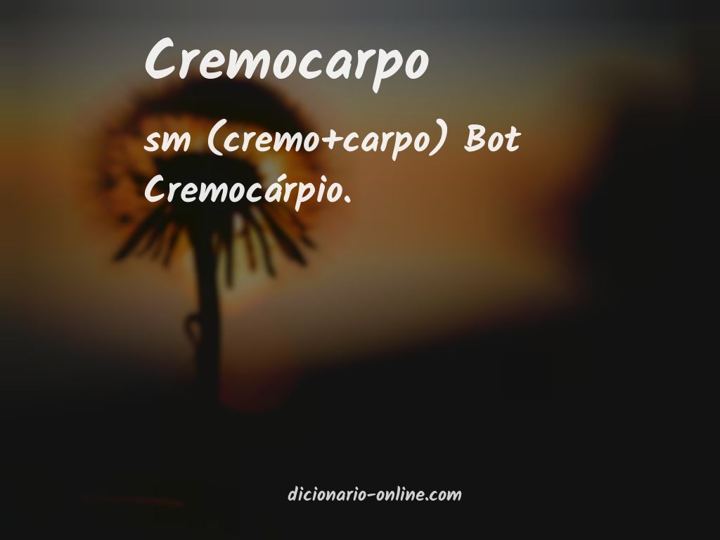 Significado de cremocarpo