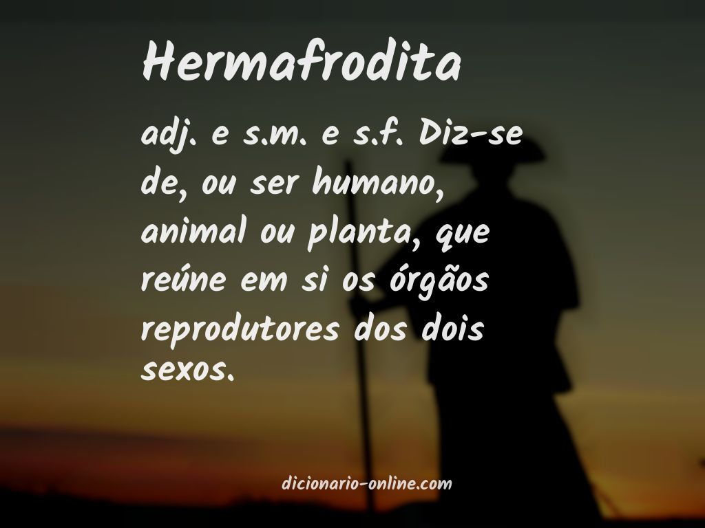 Significado de hermafrodita