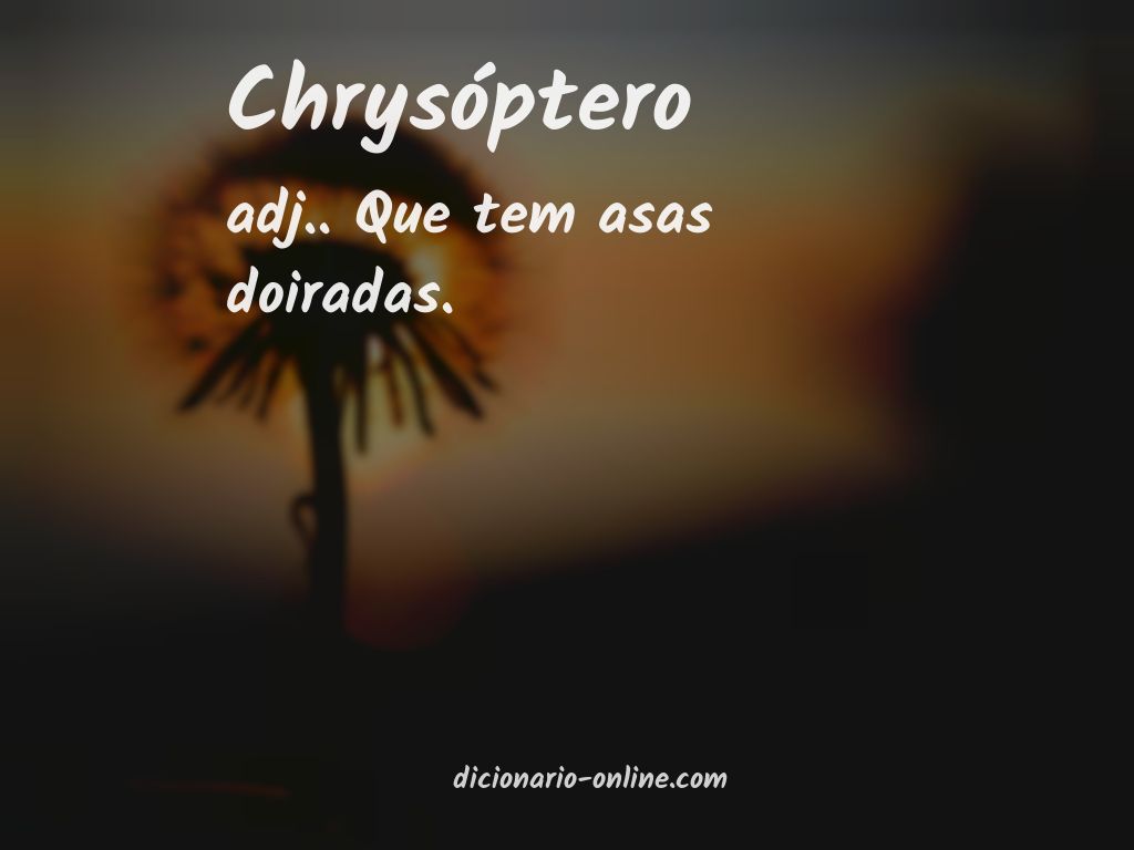 Significado de chrysóptero