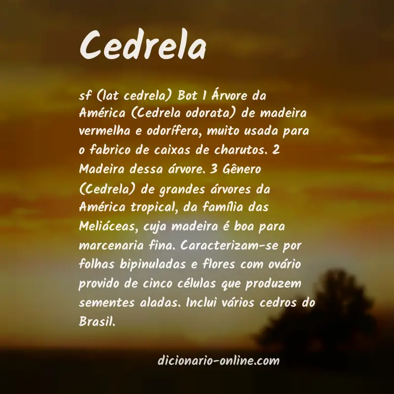 Significado de cedrela