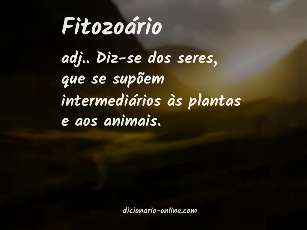 Significado de fitozoário