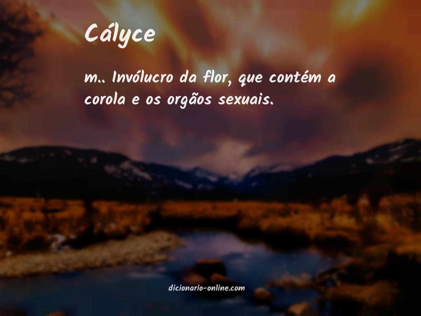 Significado de cályce