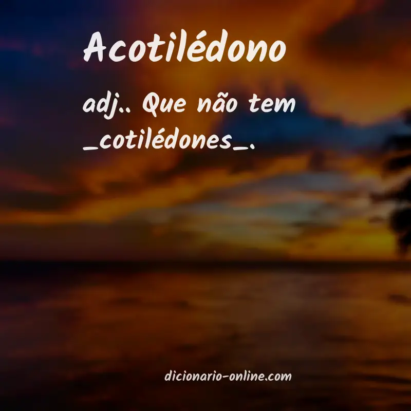 Significado de acotilédono