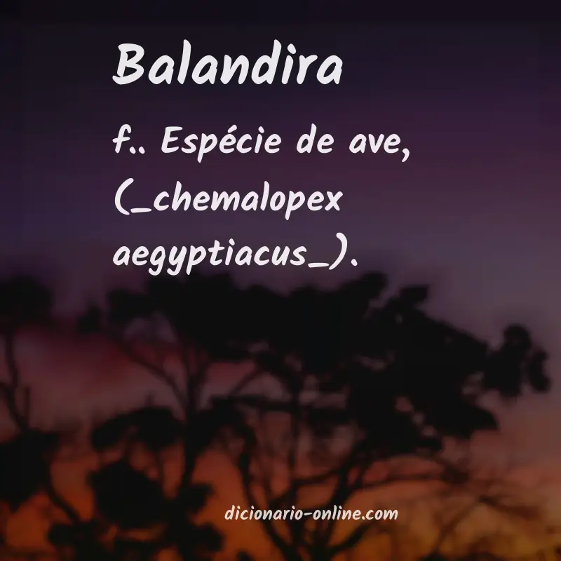 Significado de balandira