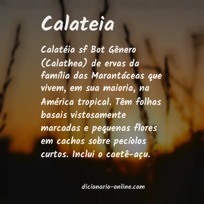 Significado de calateia