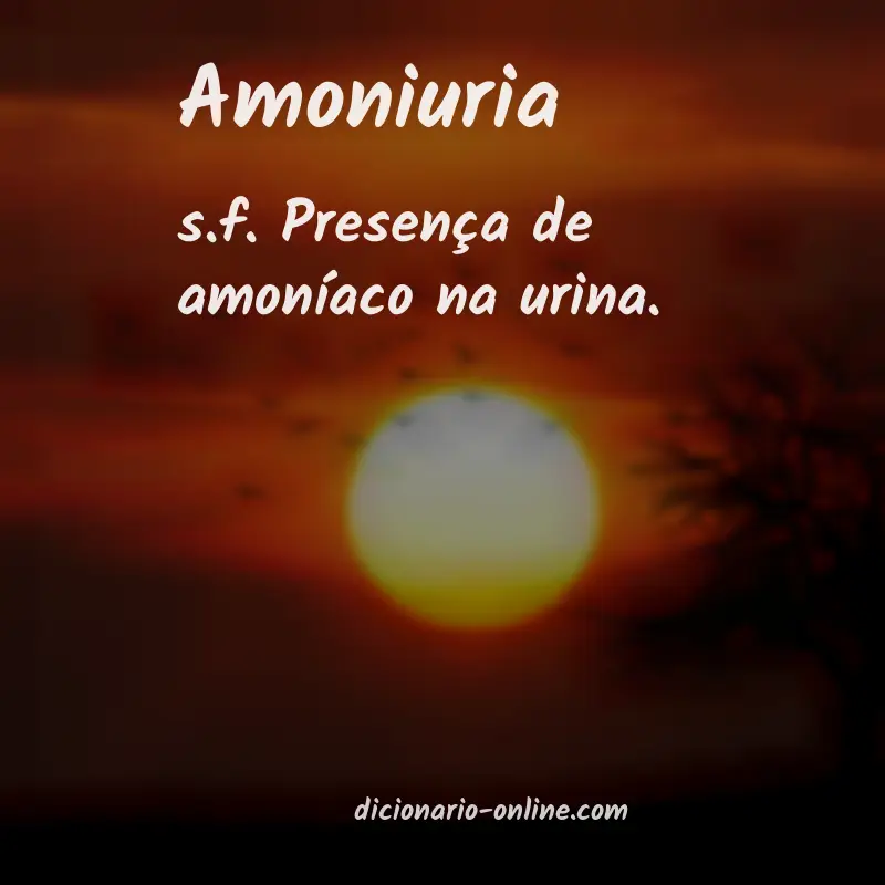 Significado de amoniuria