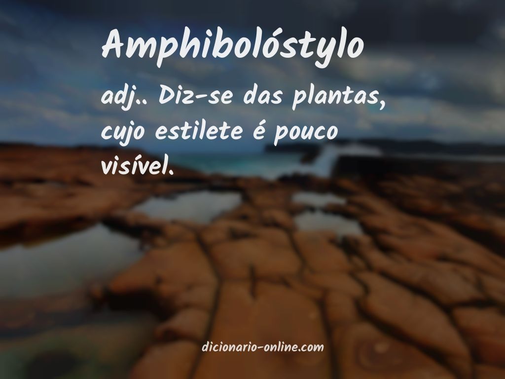 Significado de amphibolóstylo
