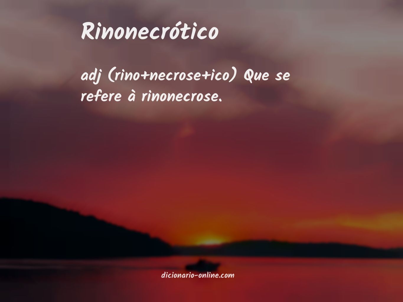 Significado de rinonecrótico