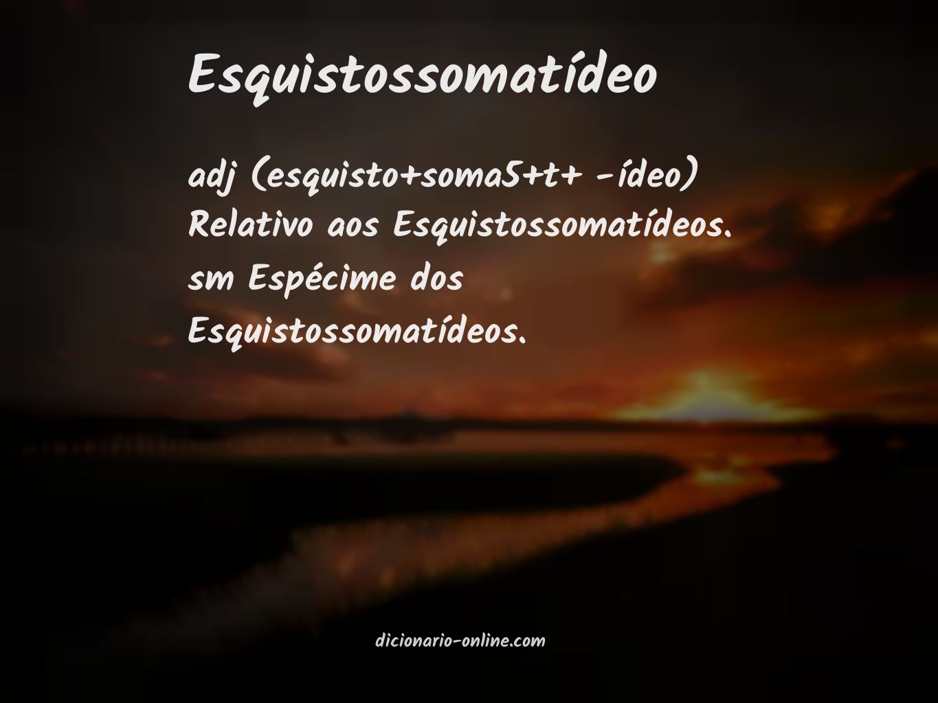 Significado de esquistossomatídeo