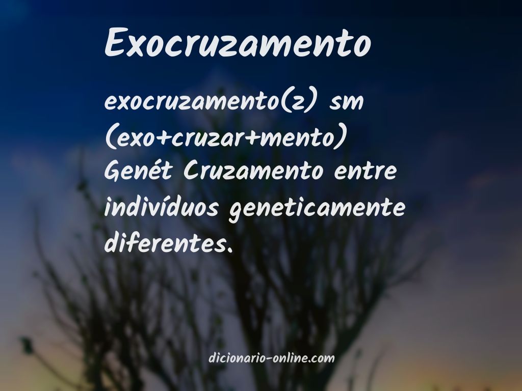 Significado de exocruzamento