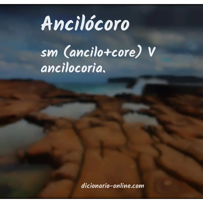 Significado de ancilócoro