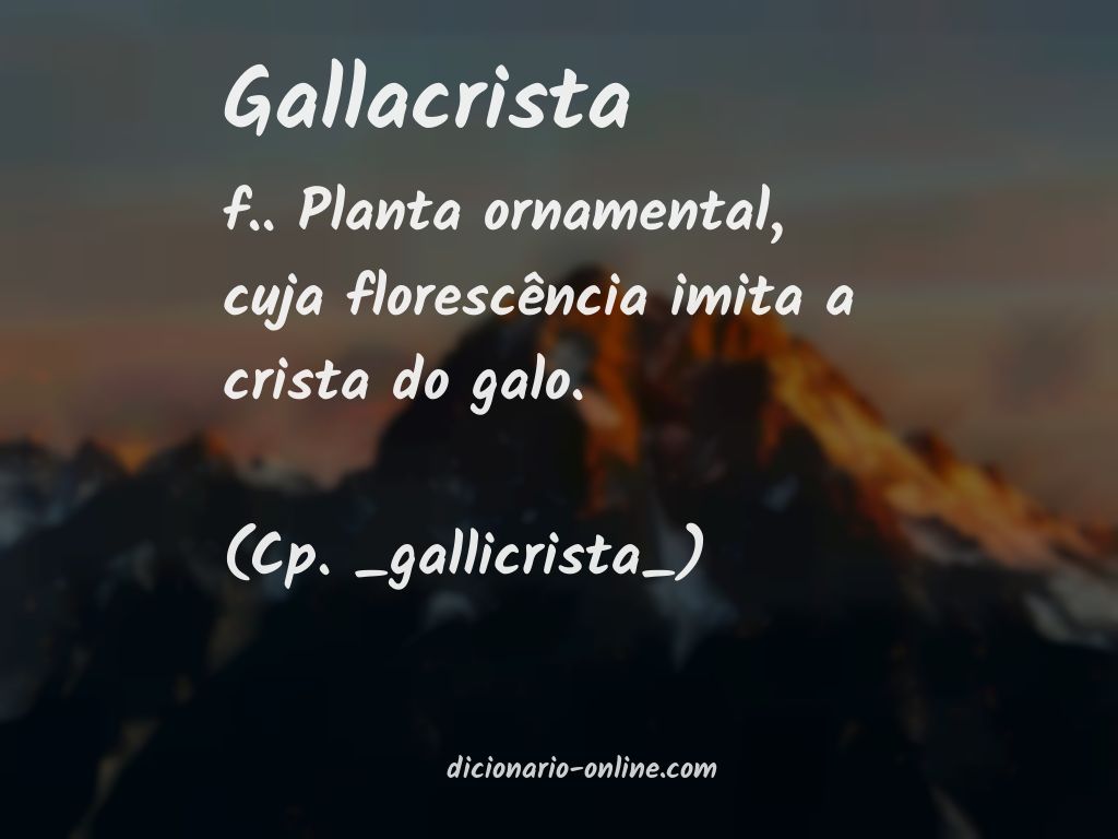 Significado de gallacrista