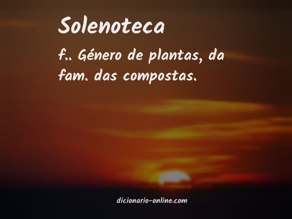 Significado de solenoteca