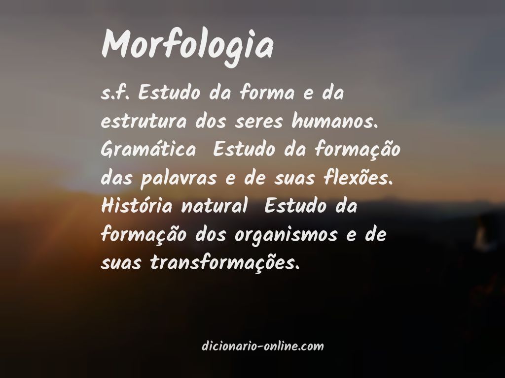 Significado de morfologia