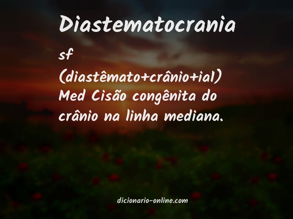 Significado de diastematocrania