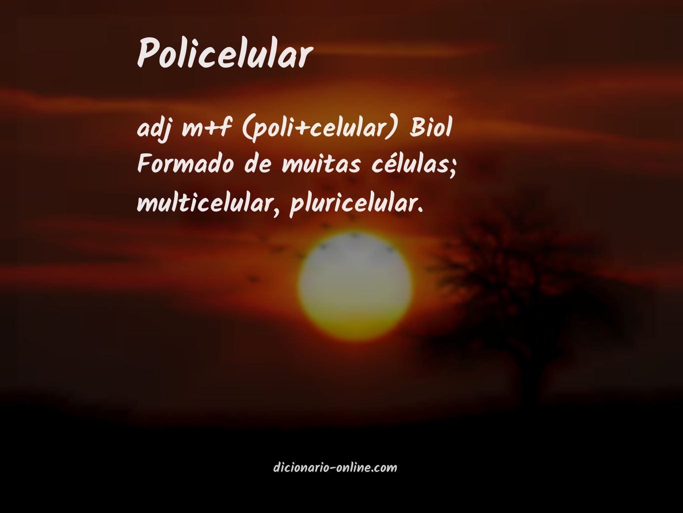 Significado de policelular