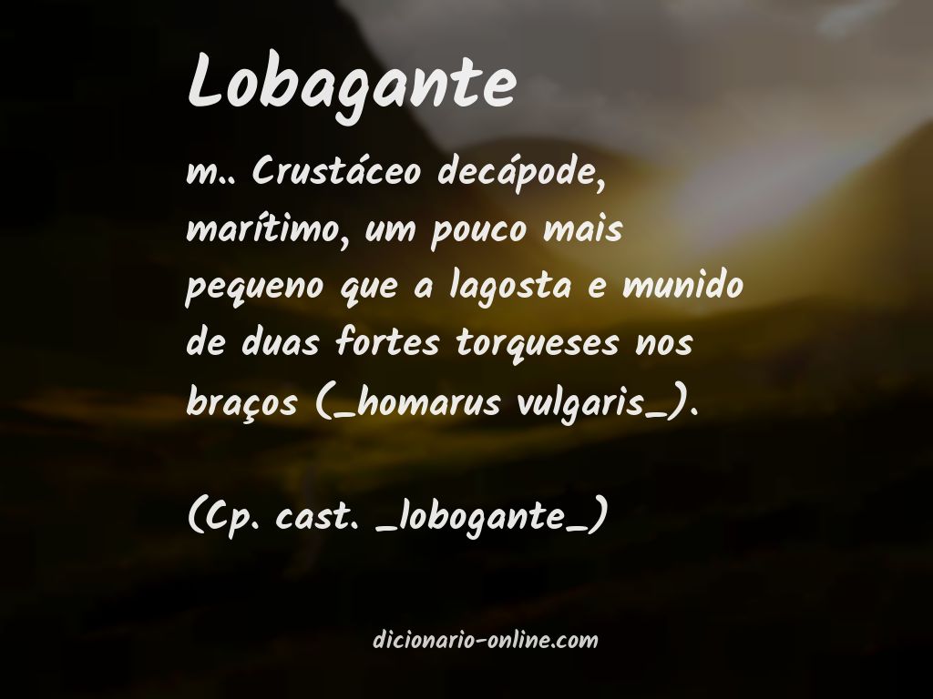 Significado de lobagante