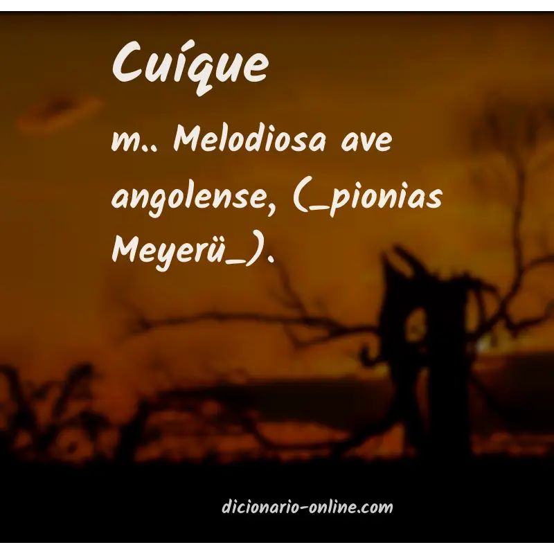 Significado de cuíque