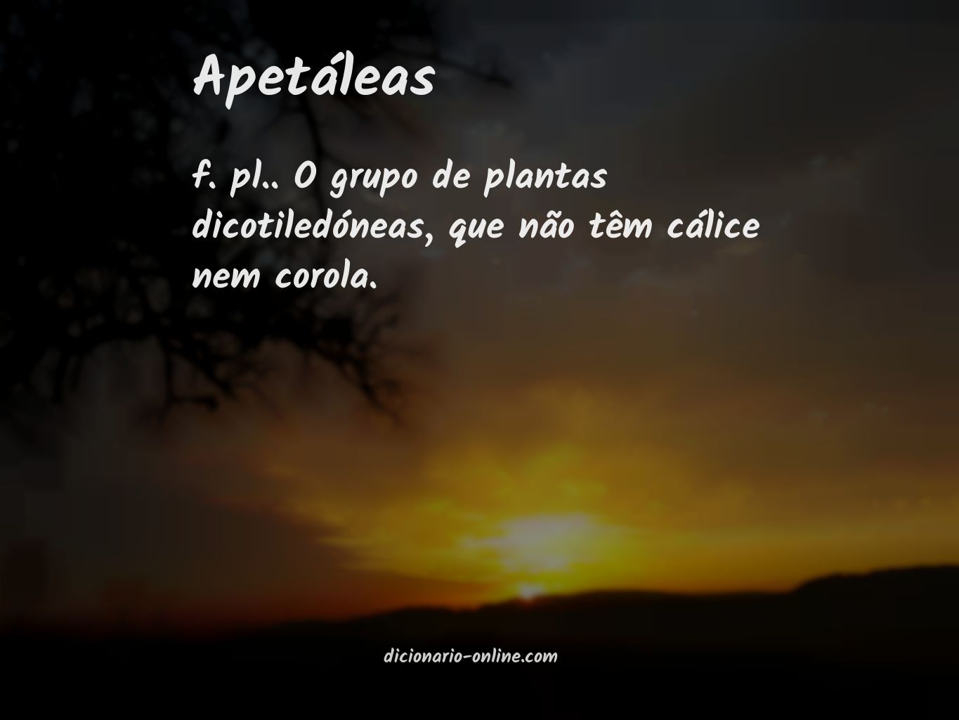 Significado de apetáleas