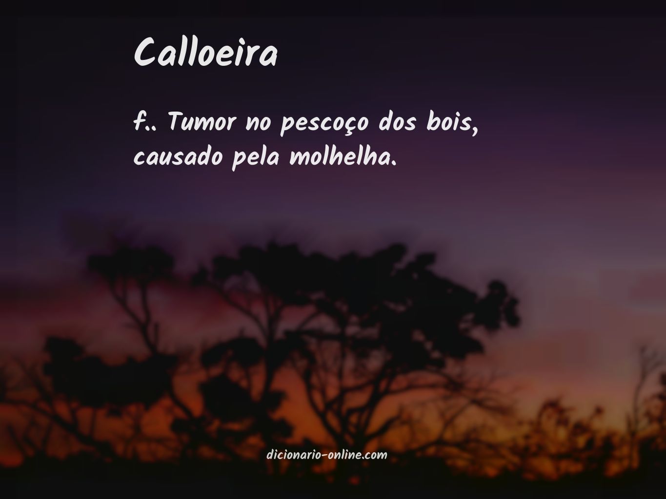 Significado de calloeira