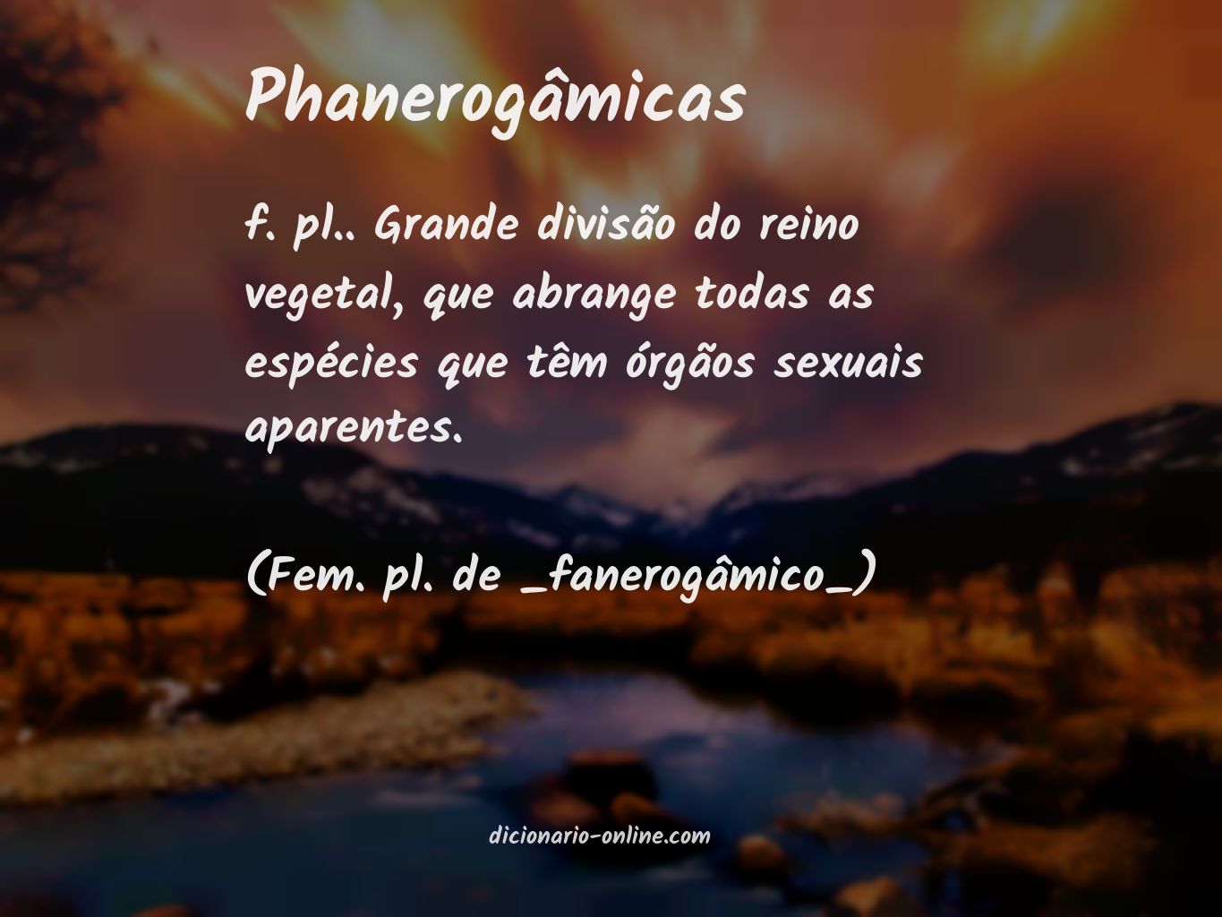 Significado de phanerogâmicas