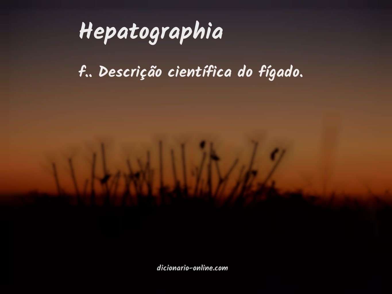 Significado de hepatographia