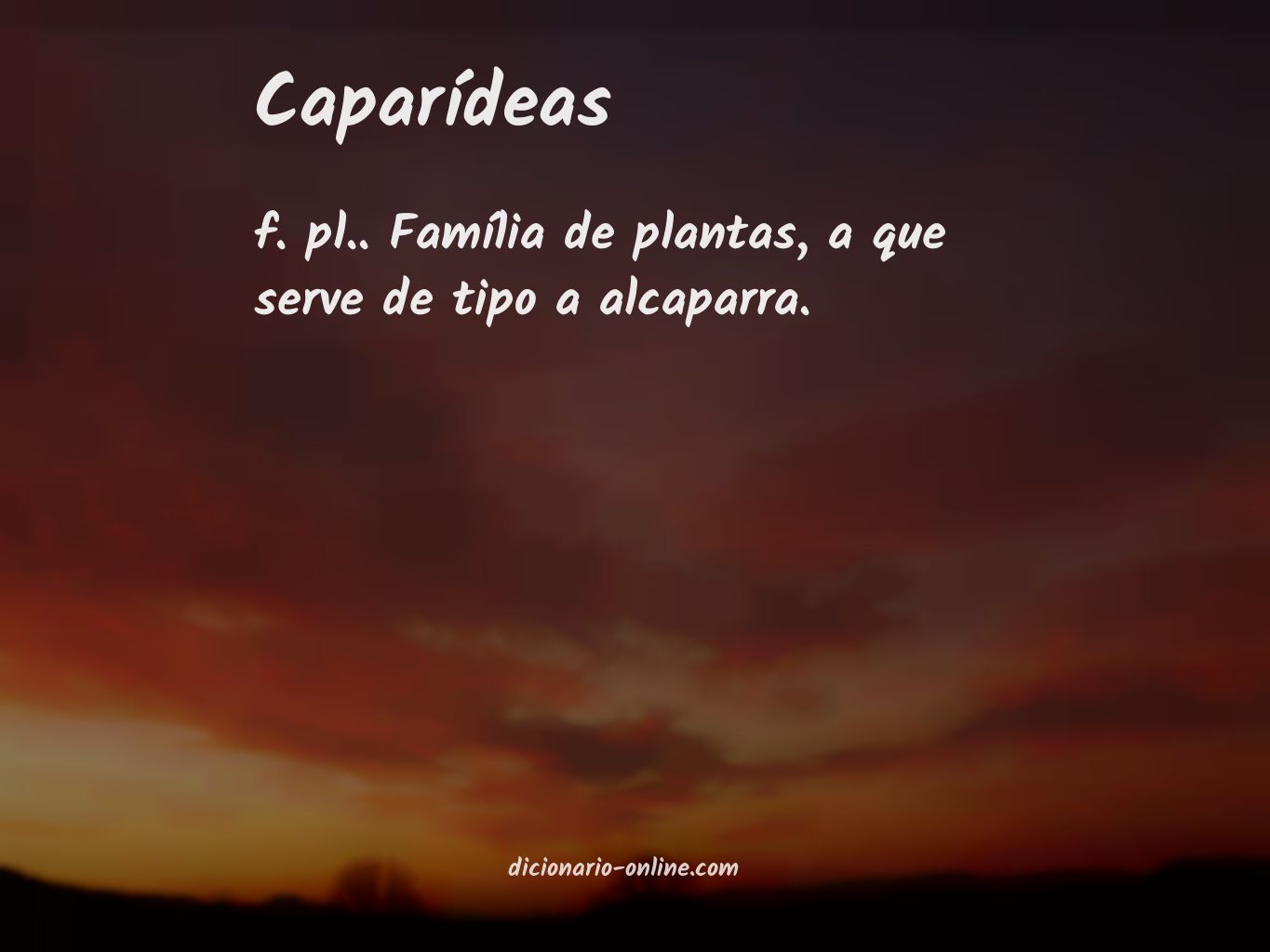 Significado de caparídeas