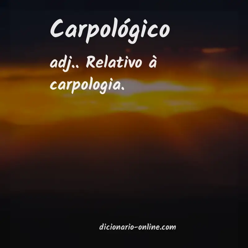 Significado de carpológico