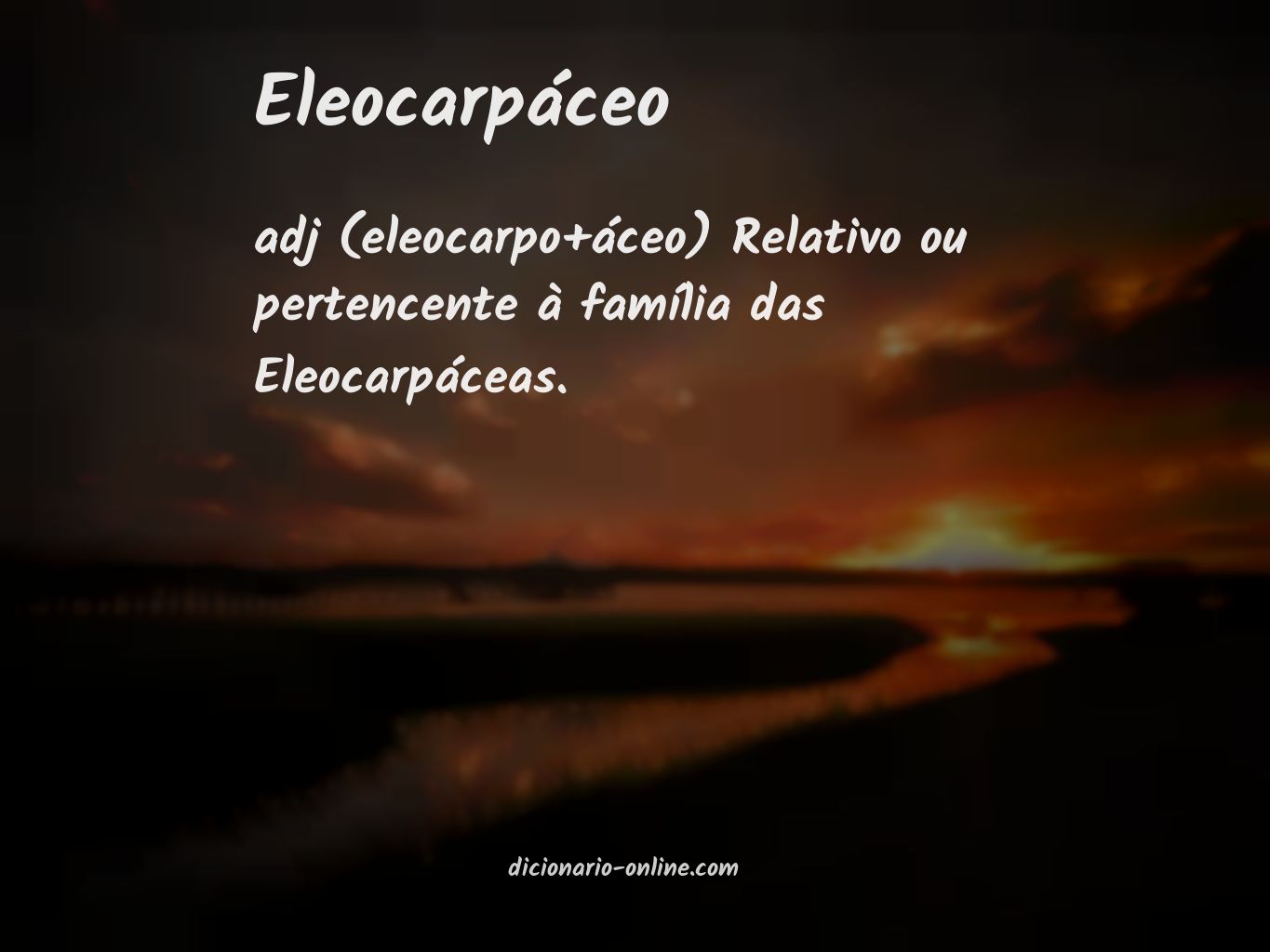 Significado de eleocarpáceo