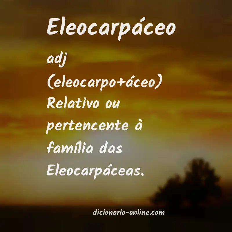 Significado de eleocarpáceo