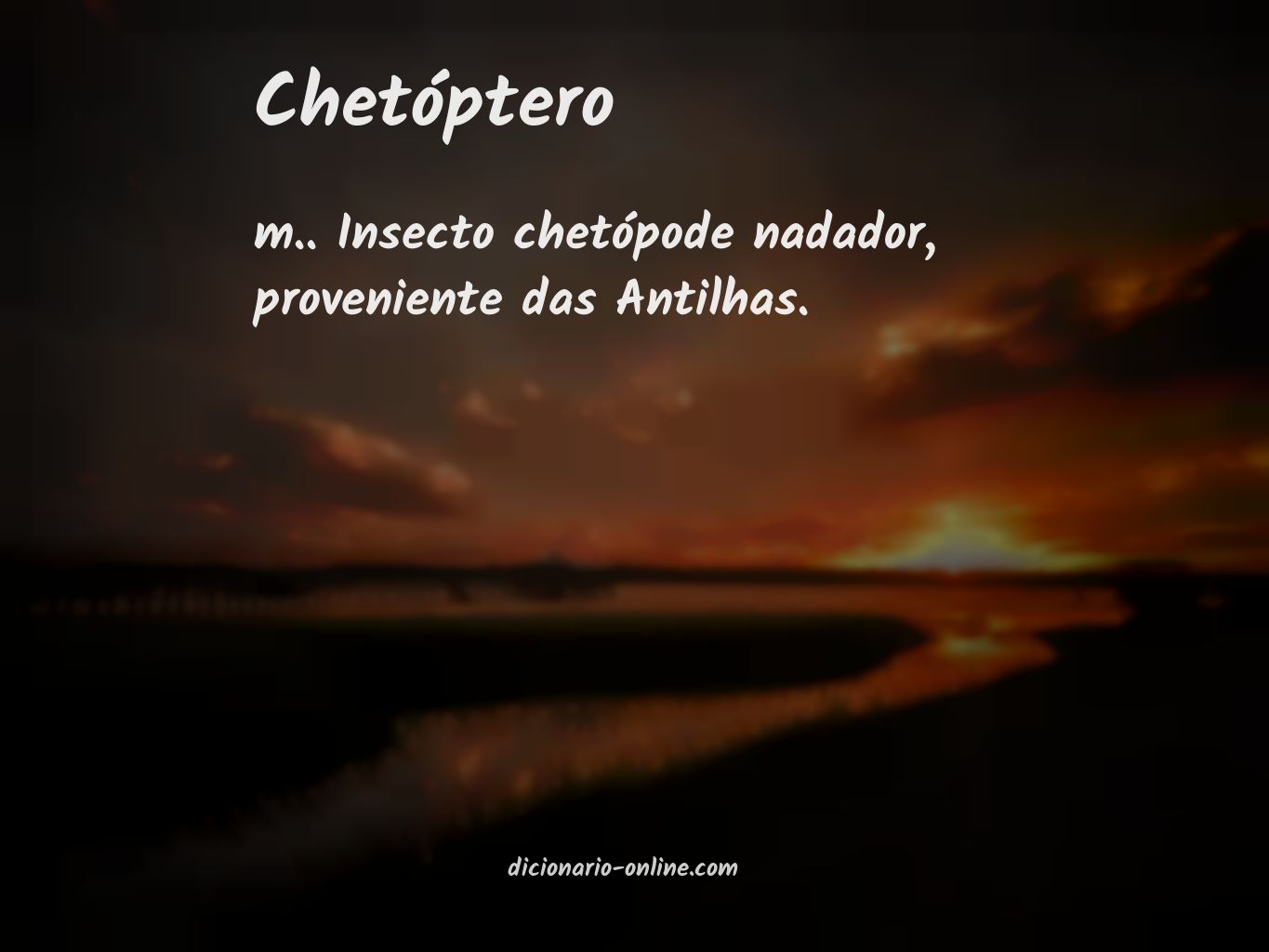 Significado de chetóptero