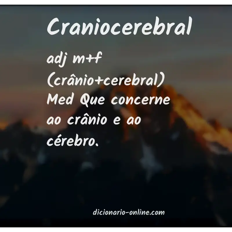 Significado de craniocerebral