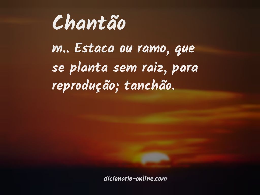 Significado de chantão