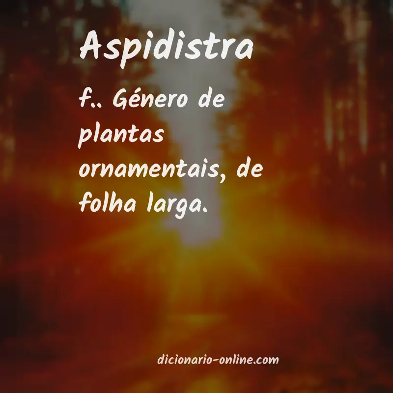 Significado de aspidistra