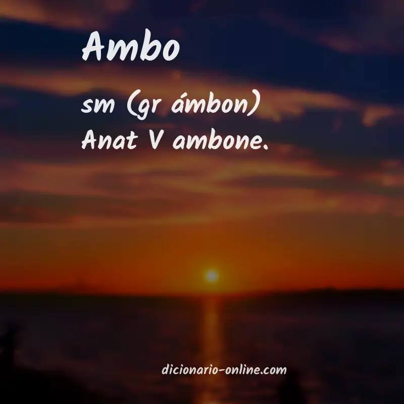 Significado de ambo