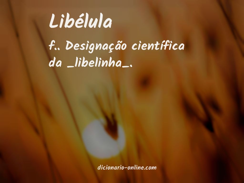 Significado de libélula