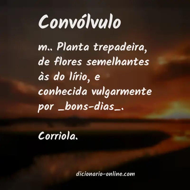 Significado de convólvulo