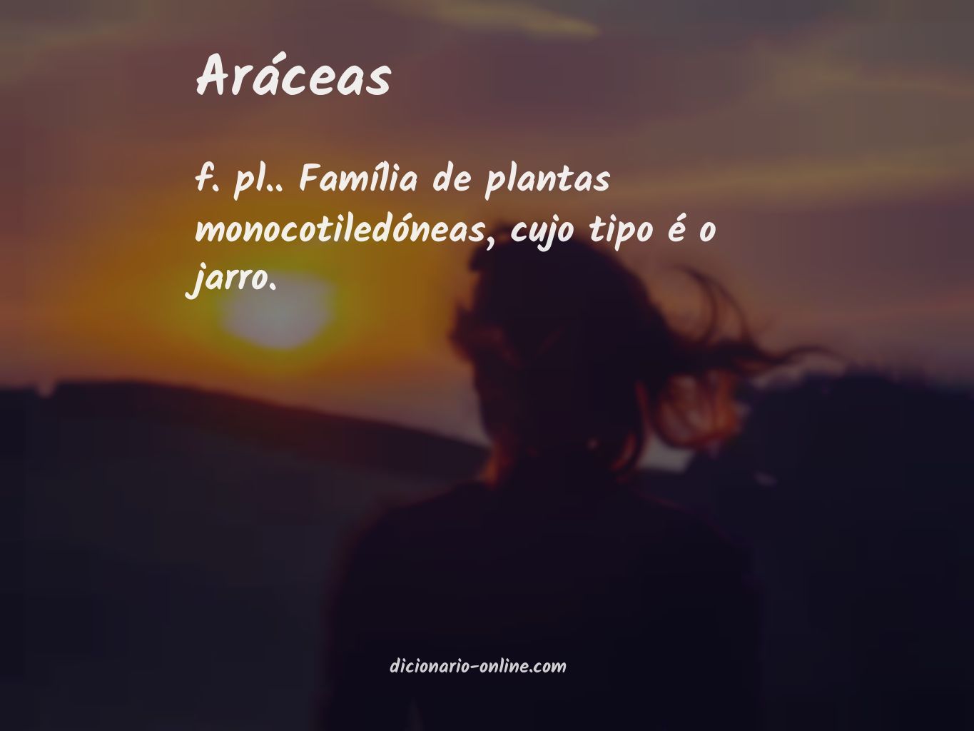 Significado de aráceas