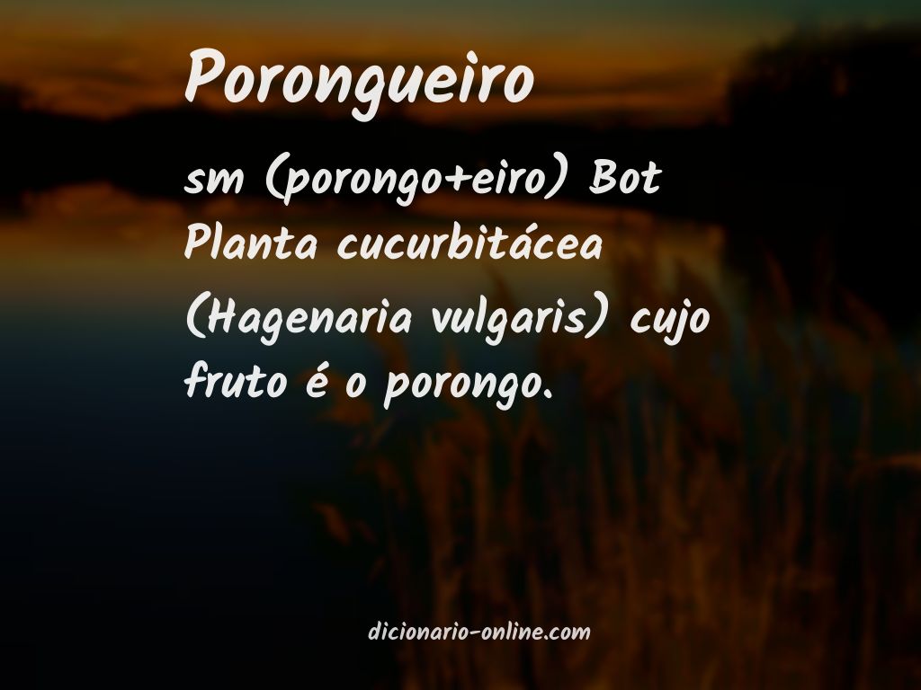 Significado de porongueiro