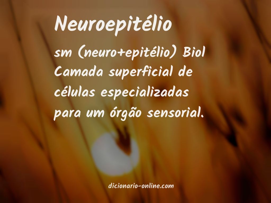 Significado de neuroepitélio