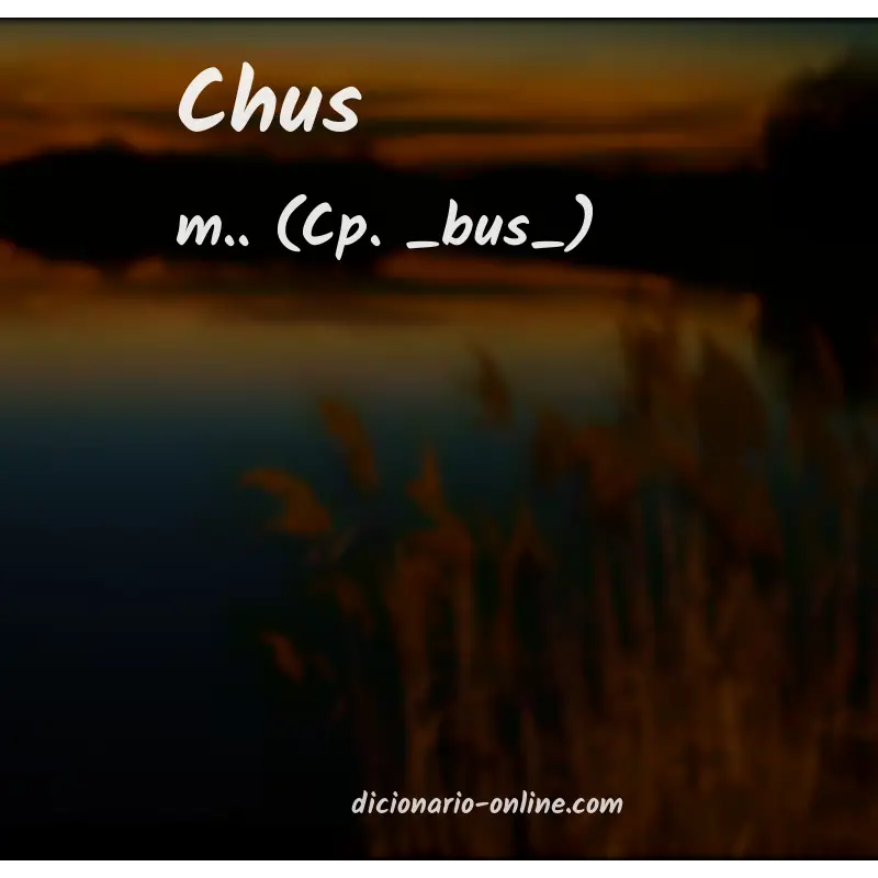 Significado de chus