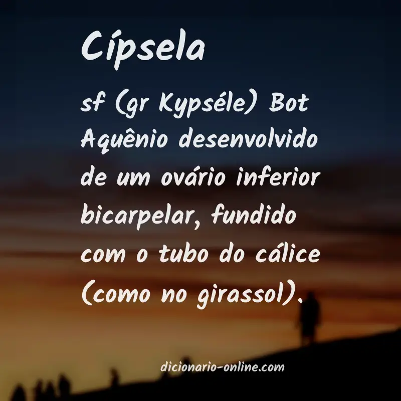 Significado de cípsela
