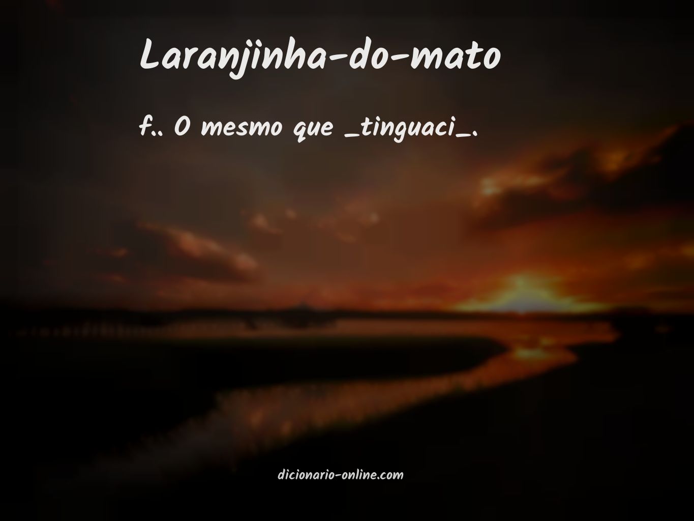 Significado de laranjinha-do-mato