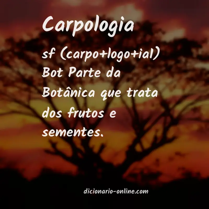 Significado de carpologia