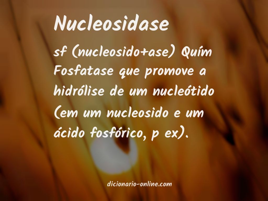 Significado de nucleosidase
